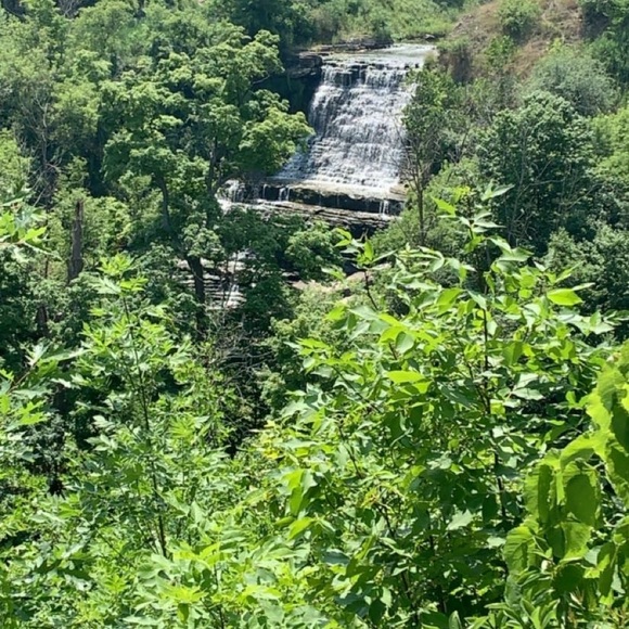 Meet your Posher, Sav - Picture 1 of 1